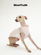 A slim dog sits with front legs extended wearing a breathable dog vest in light pink, showing the high neckline, soft binding, and side panel structure
