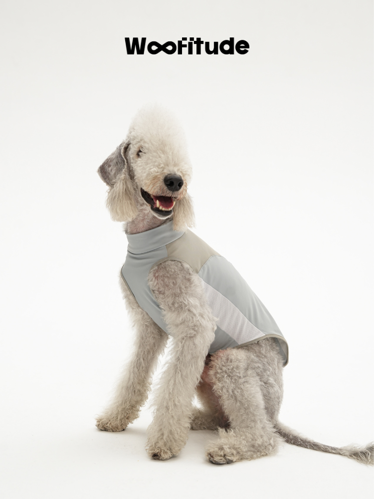 A poodle sits on a white background wearing a breathable dog vest in light grey, showing the higher neckline and side panel construction for a comfortable fit