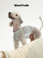 A poodle wearing a breathable dog vest in side view, showing smooth surface and lightweight structure