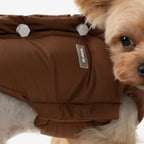 Detailed view of decorative bolts and brand label on the back of a brown padded dog vest.