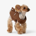 Front and side view of a dog wearing a brown padded vest, showing a comfortable fit around the chest and lightweight insulation.