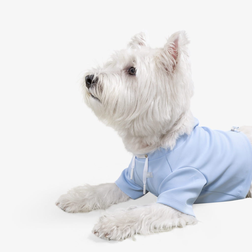 Cute Crop Top Dog Hoodie