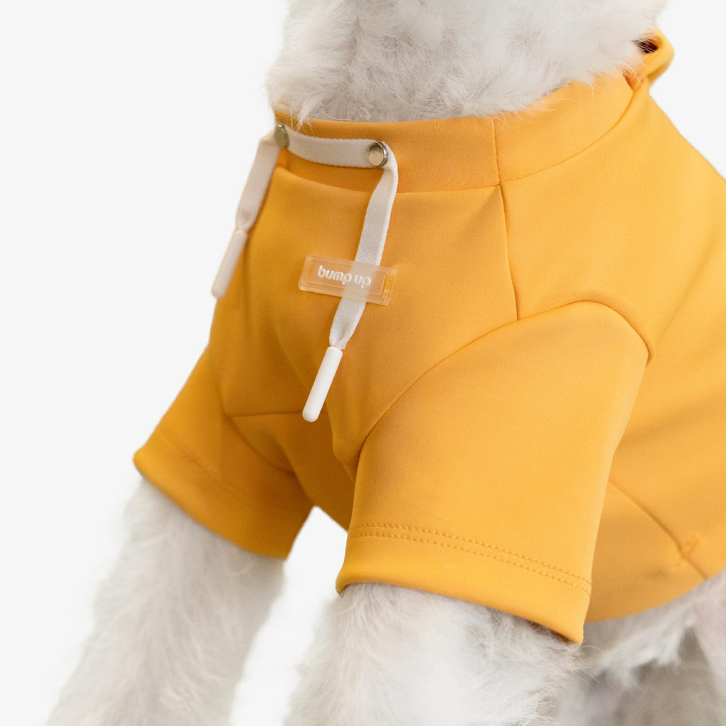 Cute Crop Top Dog Hoodie