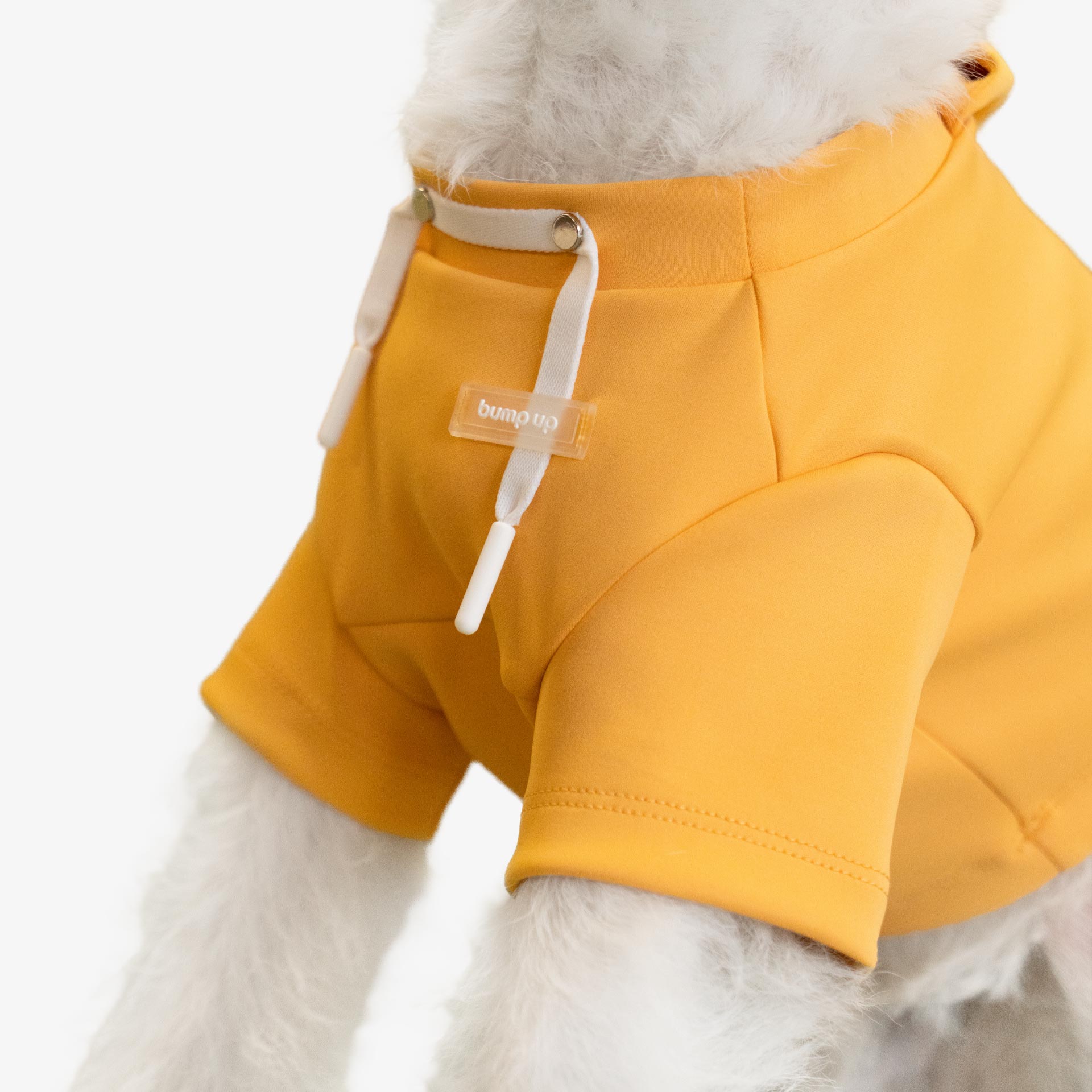 Cute Crop Top Dog Hoodie