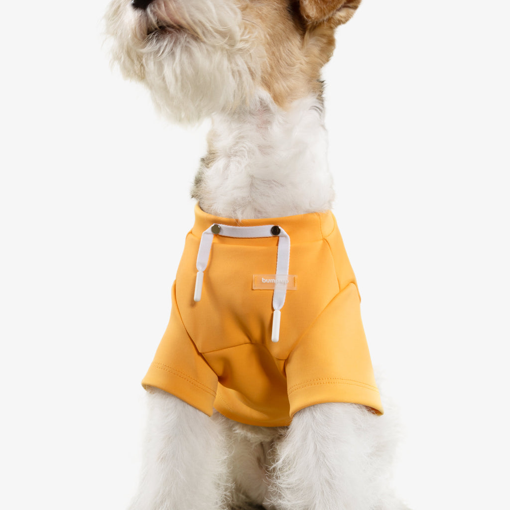Cute Crop Top Dog Hoodie