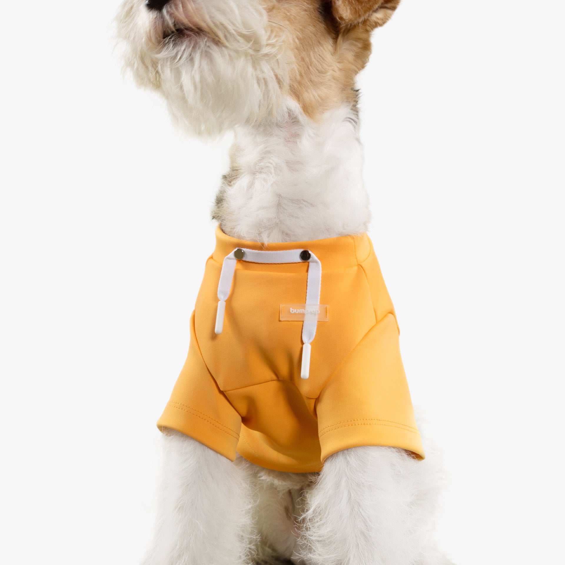 Cute Crop Top Dog Hoodie