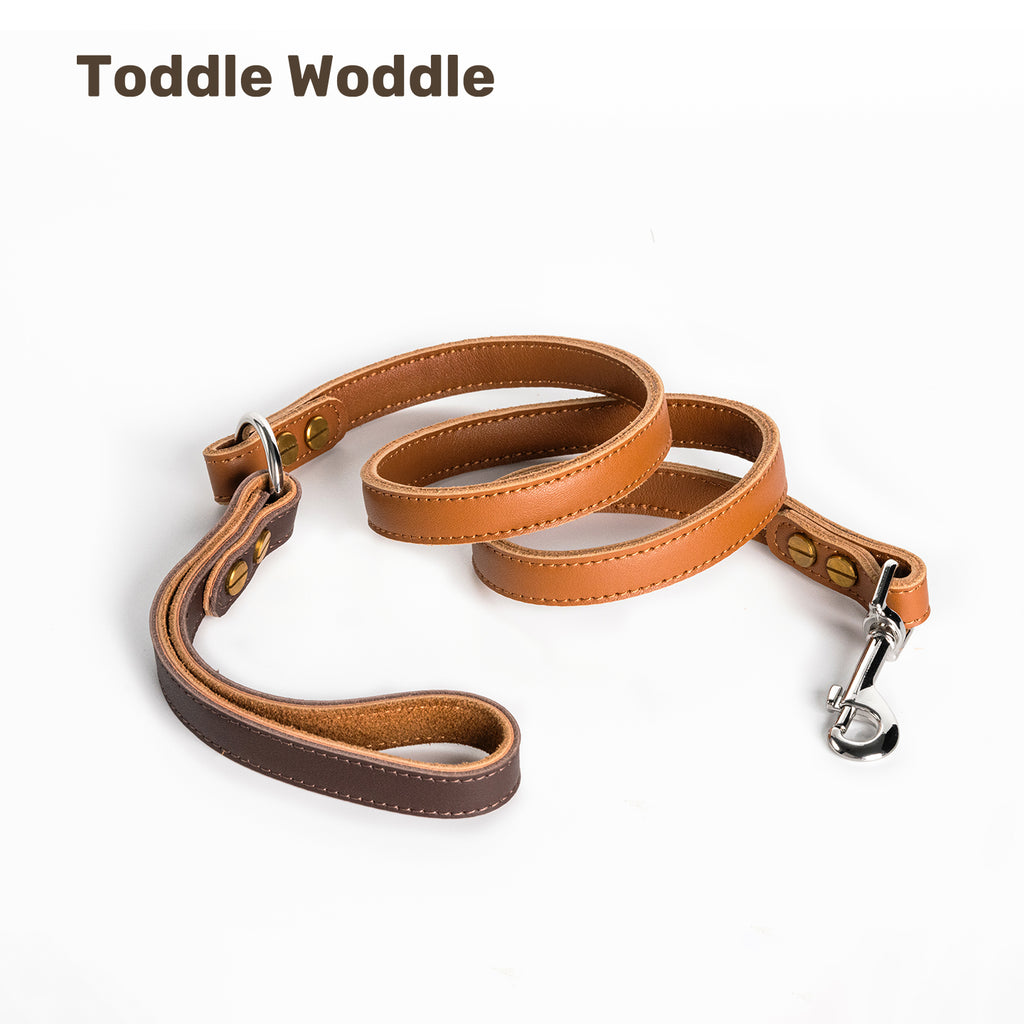 Leather Dog Leash - VOF