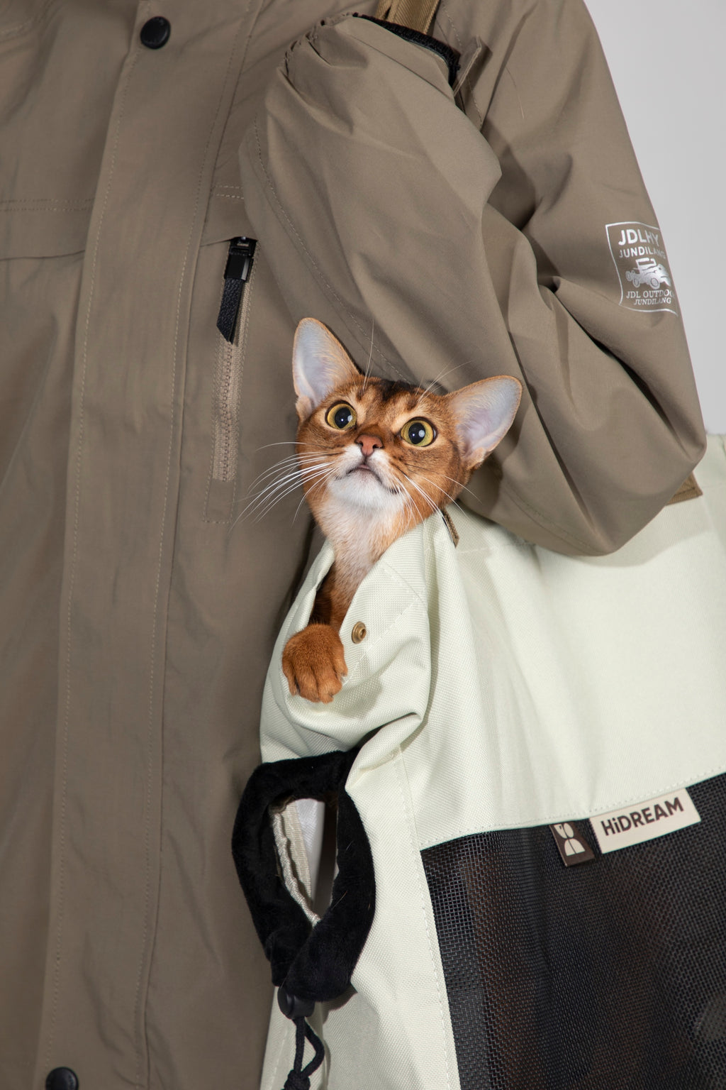 Close-up of the cat carrier side opening with a soft padded rim, showing the adjustable anti-escape opening as a cat looks out.