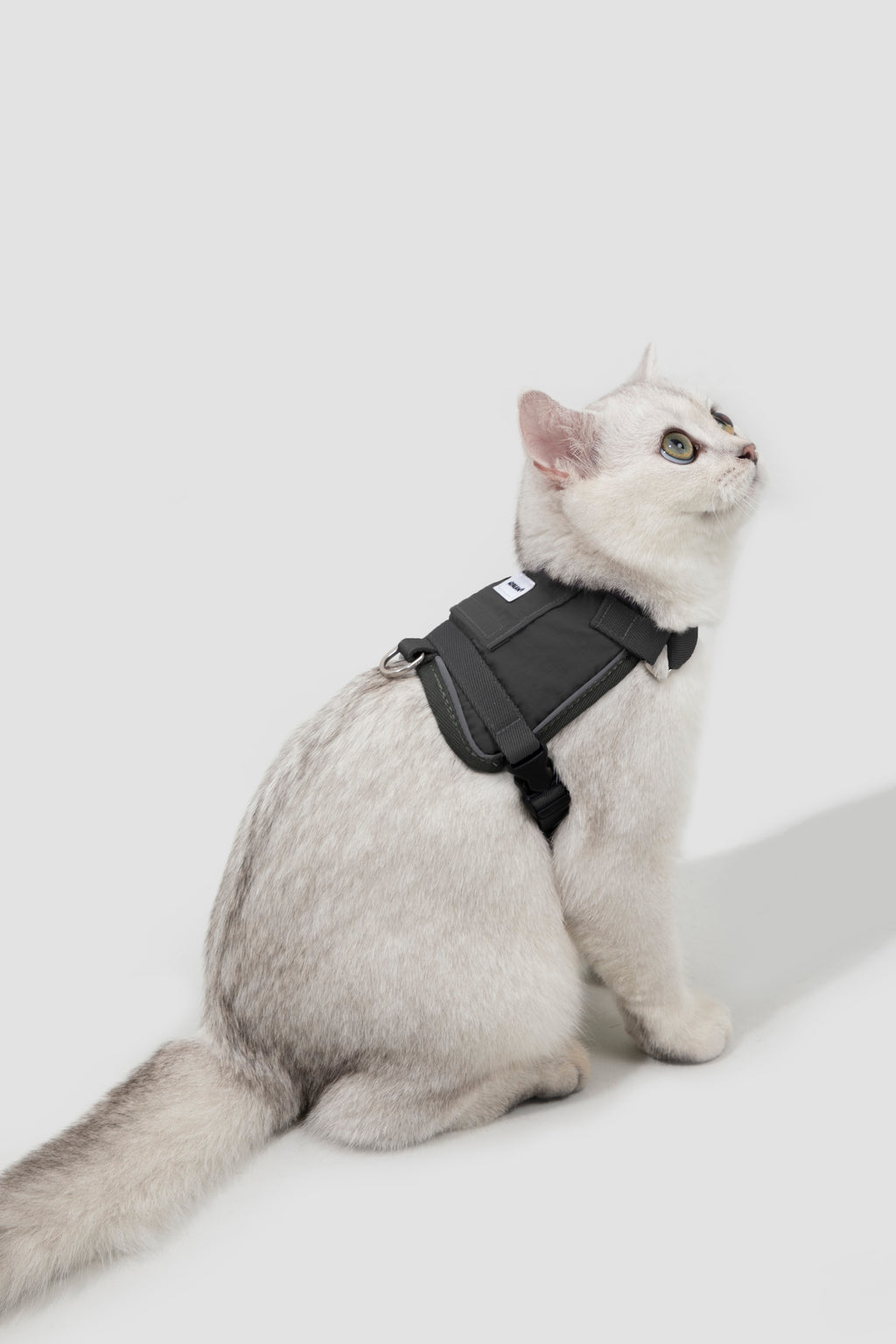 Side view of a white cat in a black cat collar harness set, showing the wrap-around chest fit and adjustable buckles for an escape-proof outdoor cat harness.