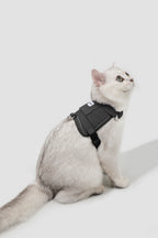 Side view of a white cat in a black cat collar harness set, showing the wrap-around chest fit and adjustable buckles for an escape-proof outdoor cat harness.