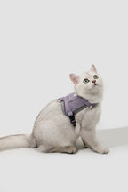 White cat wearing a purple cat harness and leash set in studio, featuring a lightweight breathable design with adjustable straps for a secure escape-resistant fit.