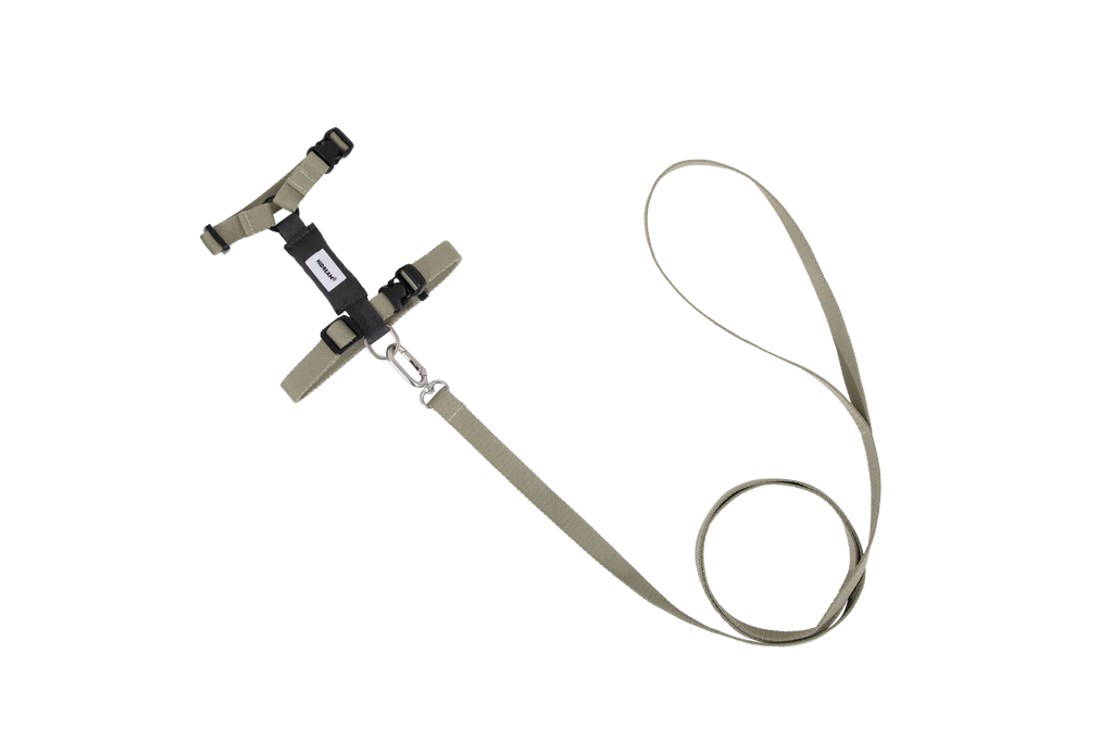 Flat lay of cat harness and leash set in dark color, showing H-style structure, adjustable straps, and integrated leash connection.