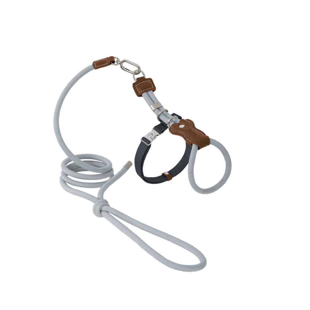 Flat lay of a cat harness and leash set with leather accents, showing the combination of braided rope, leather details, and metal hardware.