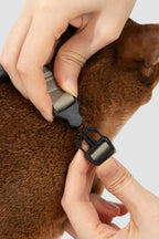 Close-up of a quick-release buckle on an adjustable cat harness, showing hands fastening the buckle for secure fit.