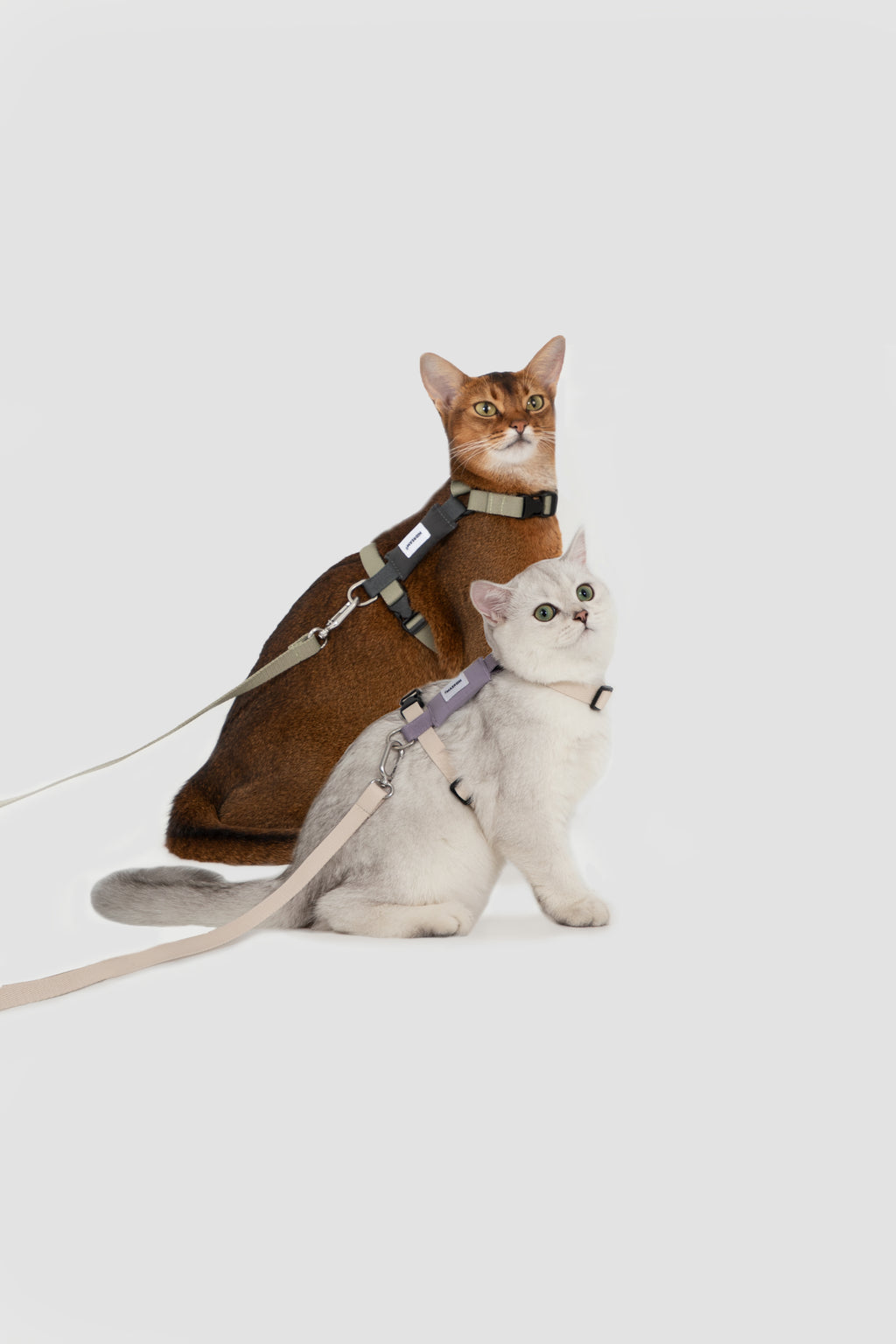 Two cats wearing adjustable cat harnesses with leashes in different colors, showing fit comparison and matching leash attachments.
