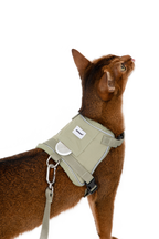 Back view of olive cat harness showing the hidden tracker pocket flap and reflective piping, part of an escape-proof cat harness set with leash clip attached.