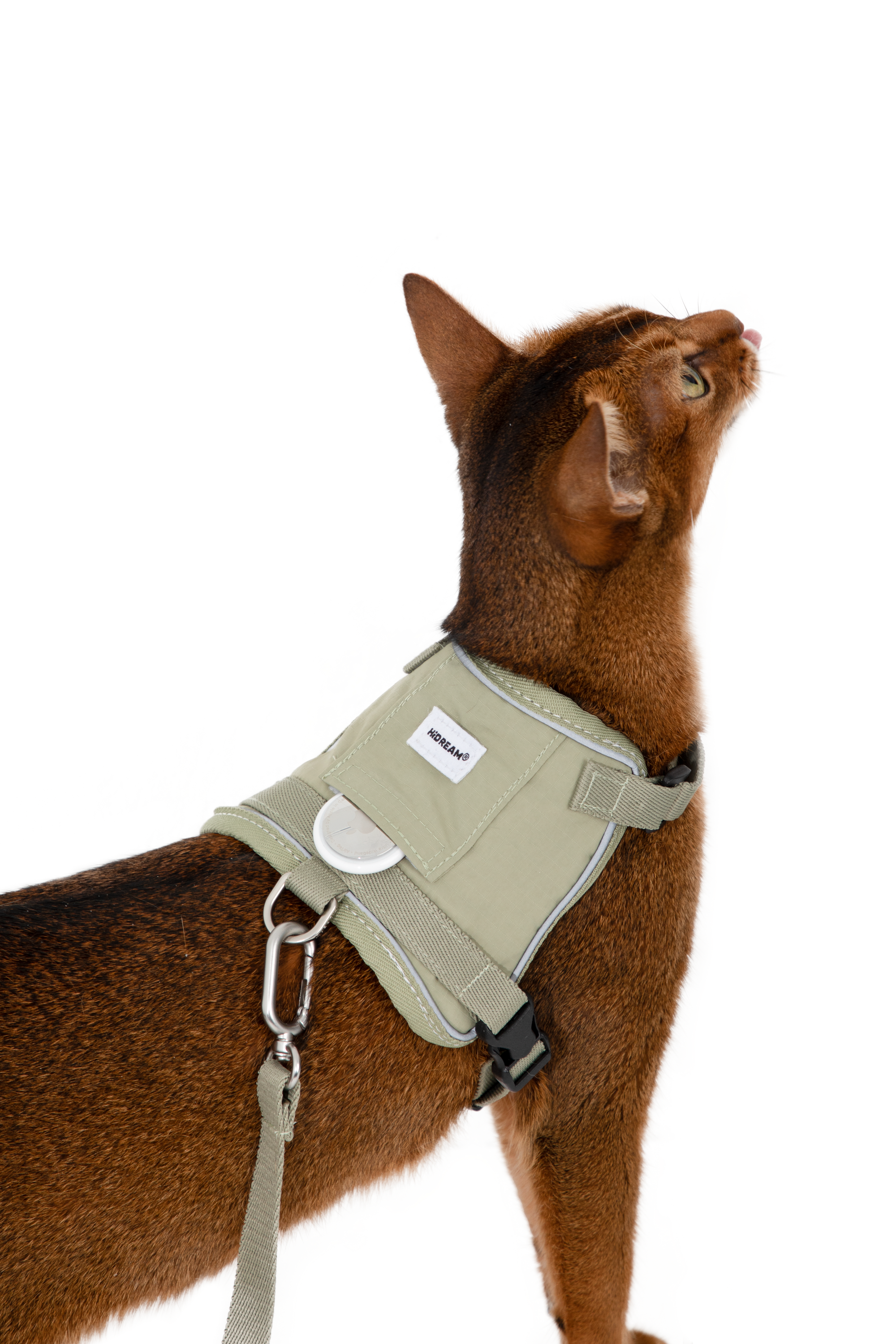Back view of olive cat harness showing the hidden tracker pocket flap and reflective piping, part of an escape-proof cat harness set with leash clip attached.