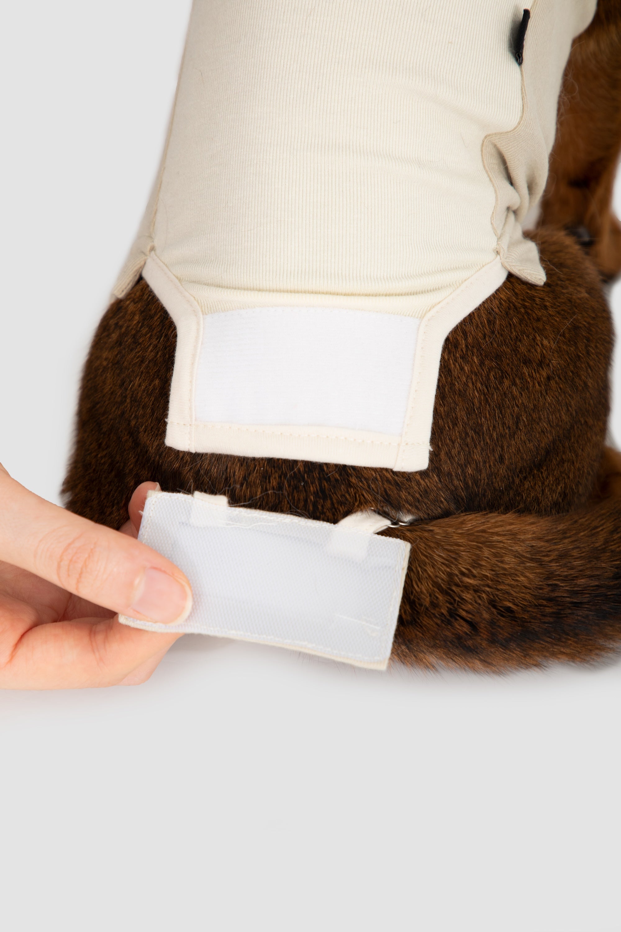 Close-up of belly velcro opening on a cat recovery suit, showing access for wound checks and secure anti-licking protection.