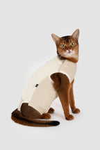 Brown cat wearing a cream cat surgical suit in a studio seated pose, showing the post-surgery recovery suit coverage and snug fit.