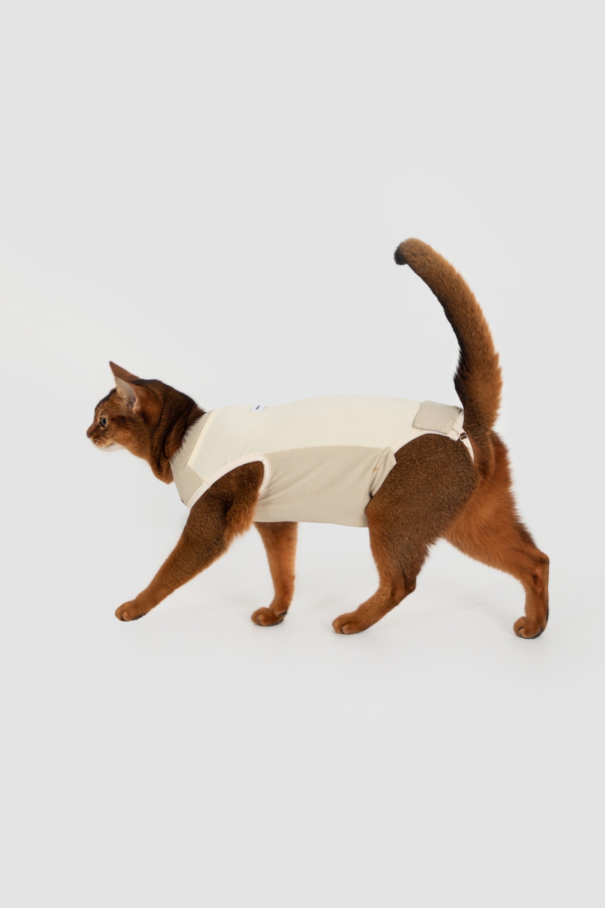 Side view of a brown cat walking in a cream post-surgery cat bodysuit, showing mobility-friendly design that helps prevent licking.