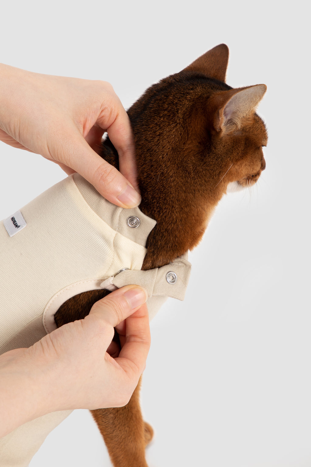Hands fastening snap closure at the neckline of a cat surgical suit, showing easy-on design that avoids pressure around the neck.