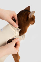 Hands fastening snap closure at the neckline of a cat surgical suit, showing easy-on design that avoids pressure around the neck.