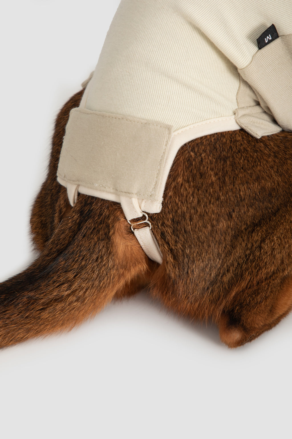 Close-up of the tail opening and securing straps on a cat recovery suit, showing adjustable closure for easier care after surgery.