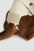 Close-up of the tail opening and securing straps on a cat recovery suit, showing adjustable closure for easier care after surgery.