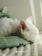Cat sleeping on an unzipped cat sleeping bag used as a flat mat