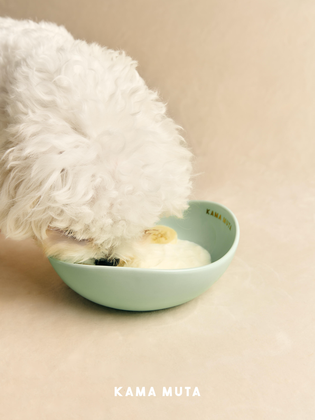 Ceramic dog bowl in soft green used for pet feeding, designed for both dry and wet food.