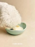 Ceramic dog bowl in soft green used for pet feeding, designed for both dry and wet food.