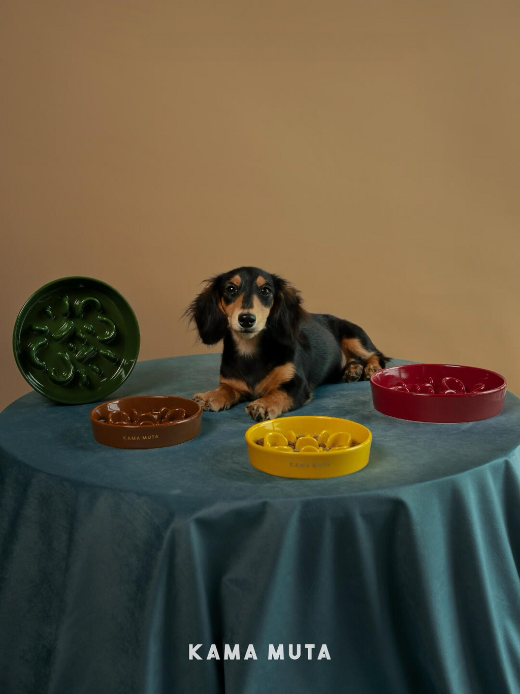Ceramic slow feeder bowls in multiple colors arranged with a dog, suitable for everyday slow feeding use.