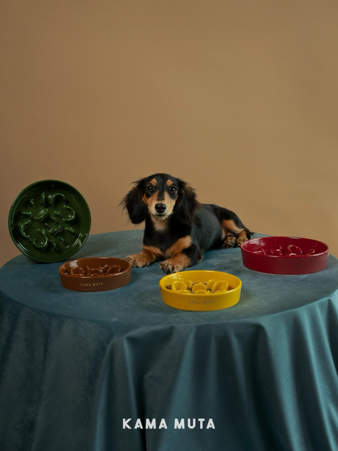 Ceramic slow feeder bowls in multiple colors arranged with a dog, suitable for everyday slow feeding use.