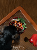 Top view of a dog eating from a ceramic slow feeder bowl with raised internal columns to reduce gulping.