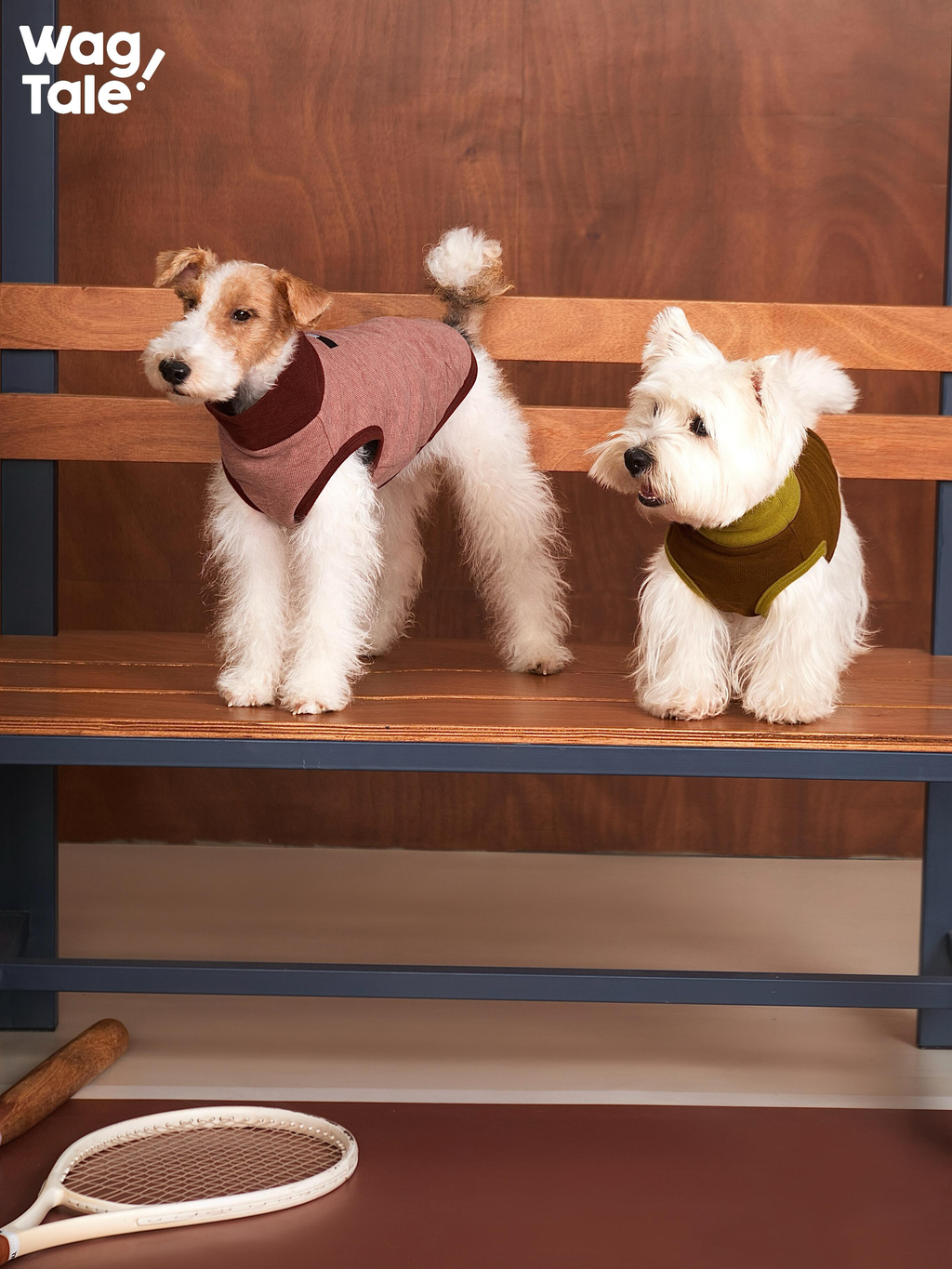 Two small dogs wearing CLOUD dog base layer vests on a bench, showcasing minimalist solid colors, breathable stretch comfort, and a lightweight thermal layer suitable for daily use.
