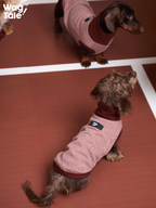 Top view of a small dog in a CLOUD lightweight dog vest in rose pink, highlighting the stretchy breathable base layer fit, ribbed high neck, and simple everyday styling.