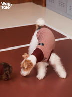 Back view of a dog wearing a CLOUD minimal dog base layer vest in rose pink, featuring a clean silhouette, breathable stretch fit, and subtle label detail for everyday layering.
