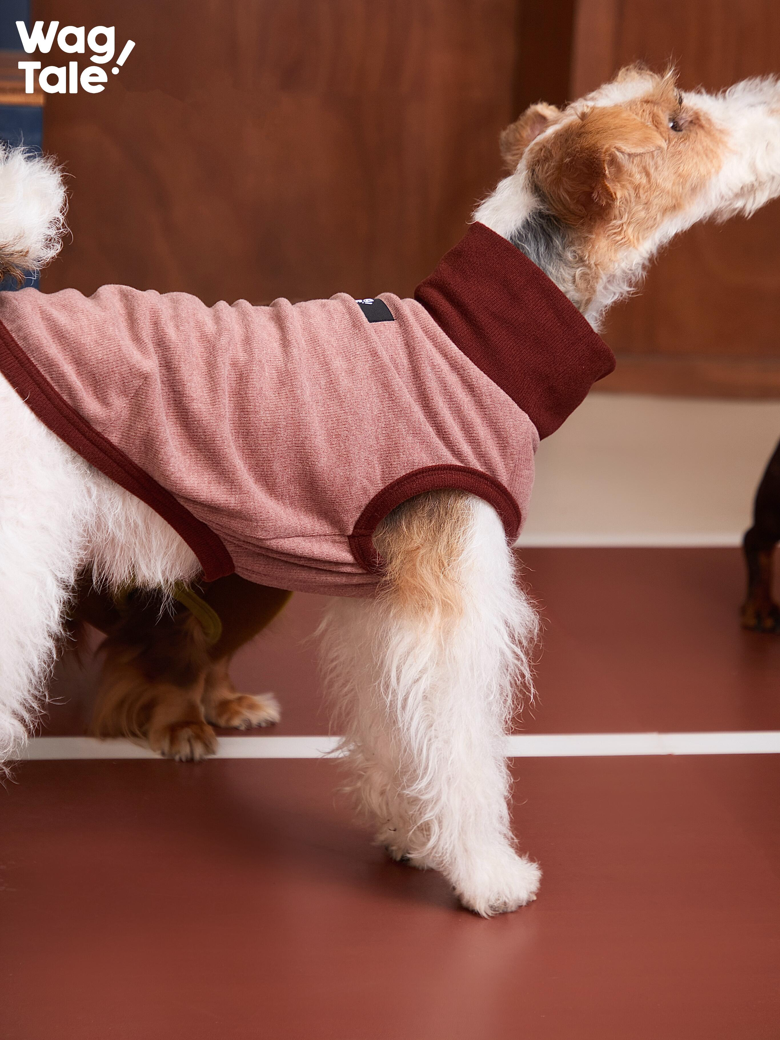Side view close-up of a dog wearing a CLOUD stretchy dog vest in rose pink, showing a snug base layer fit, high neck warmth, and clean armhole cut for easy movement.