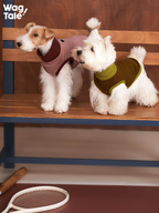 Close view of two dogs in CLOUD thermal dog base layer vests, showing solid-color minimal design, breathable stretch texture, and everyday comfort for indoor or mild outdoor wear.