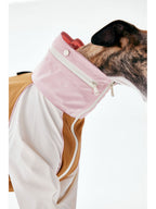 Color-block dog raincoat with a high neck design shown from the side