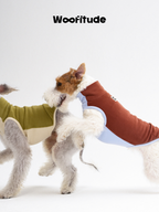 Two dogs wearing color-block warm dog vests playing together in a studio, showcasing multiple color combinations and soft fleece texture.