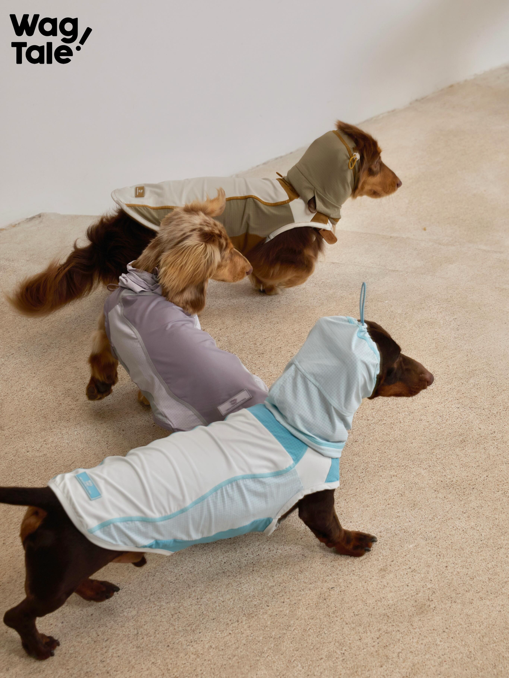 Rear view of dogs walking together while wearing cooling dog vests, showing active fit, curved seams, and lightweight fabric for summer play.