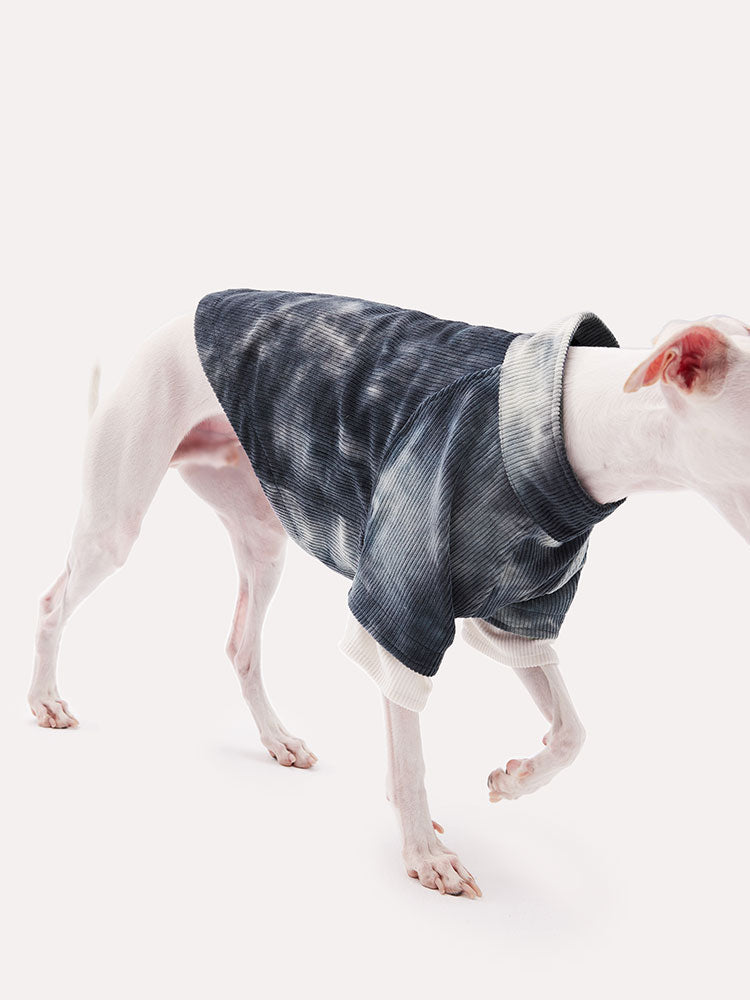 Tie dye corduroy dog shirt shown in motion, offering a flexible fit for active and slim dog breeds