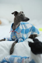 Sighthound lying comfortably on bedding wearing a blue plaid cotton dog pajama, with focus on the shirt-style collar and front buttons.