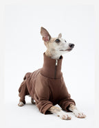 Dog lying down wearing a four-leg jacket with cotton sleeves visible on the front legs