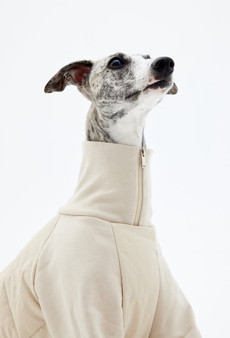 Close-up of a dog wearing a cream-colored jacket with a high neck and front zipper detail
