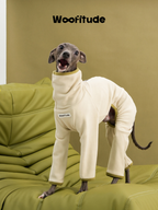 Italian Greyhound in a cream dog suit with a high neck design, photographed looking upward on a soft green sofa