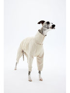 Dog wearing a cream-colored four-leg winter jacket in a full-body standing view