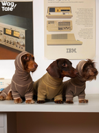 Three dachshunds in full body dog base layer suits, highlighting flexible stretch, consistent four-leg coverage, and suitability for different dachshund body shapes.