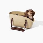 Yellow KAMA MUTA pet tote carrier bag with a dachshund inside, showcasing a breathable mesh design and sturdy handles.